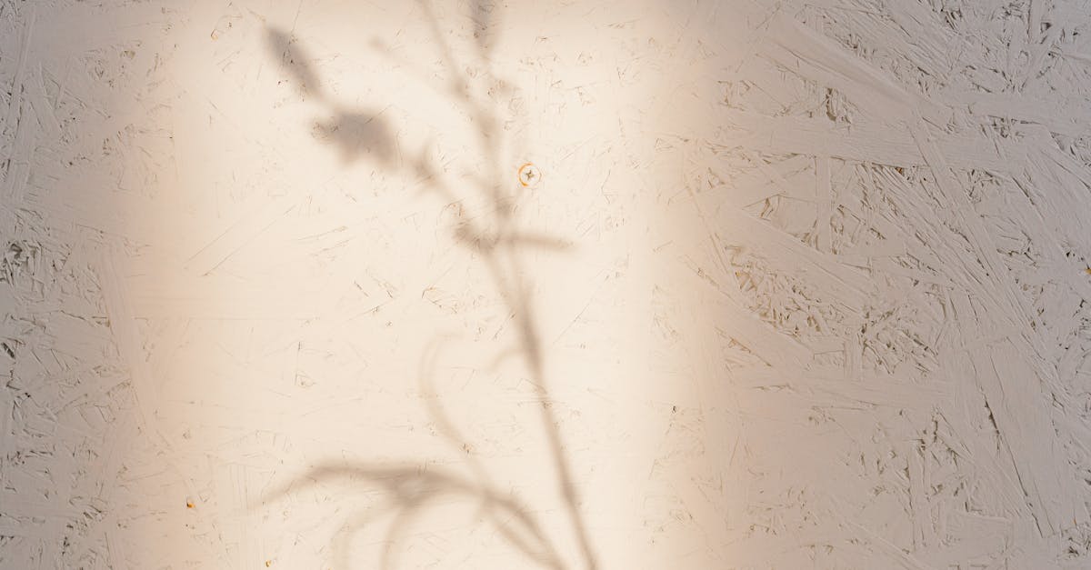 Stres ve Cildiniz: Görünür Bağlantı